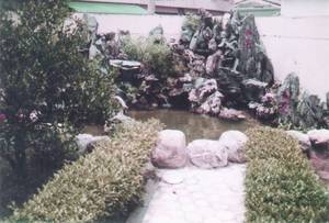 屋頂花園池