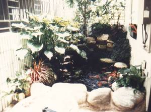 陽台花園池