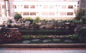陽台花園池