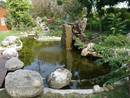 地面花園池